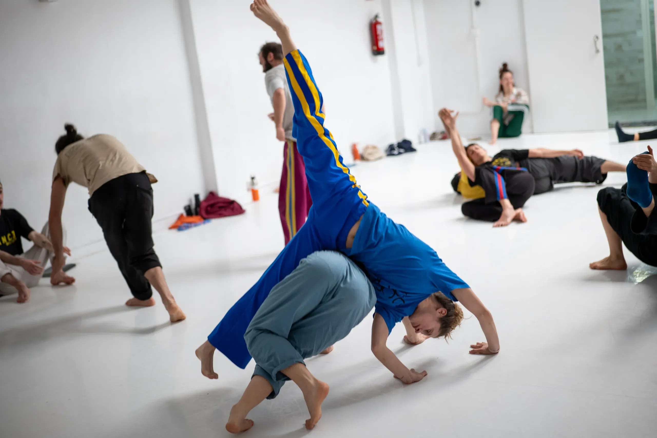 Participantes explorando movimiento, equilibrio y apoyo corporal en una sesión de Contact Improvisación